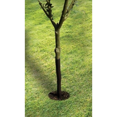 Protège-arbre en spirale 61cm