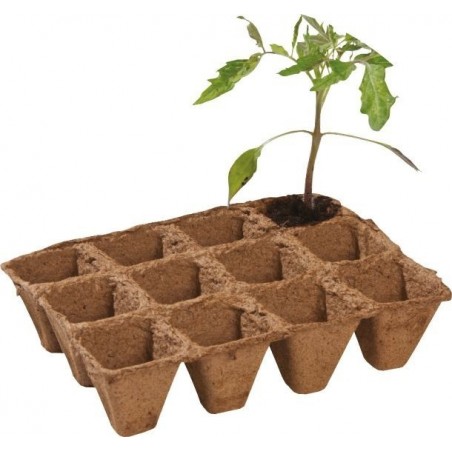 Pack de 36 pots en fibre biodégradables 5 cm