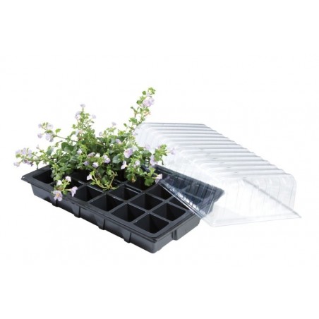 Mini serre triple pack propagateur