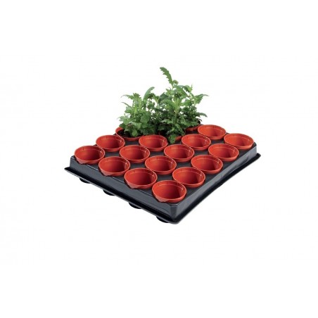 Mini plateau de semis et de bouture professionnel (pots de 20 x 6 cm)