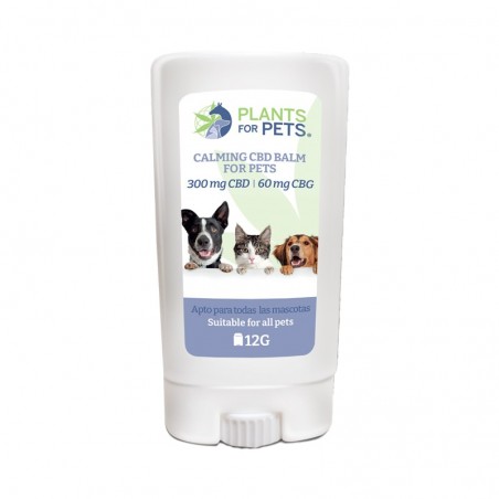 Baume CBD apaisant animaux light | PLANTS FOR PETS